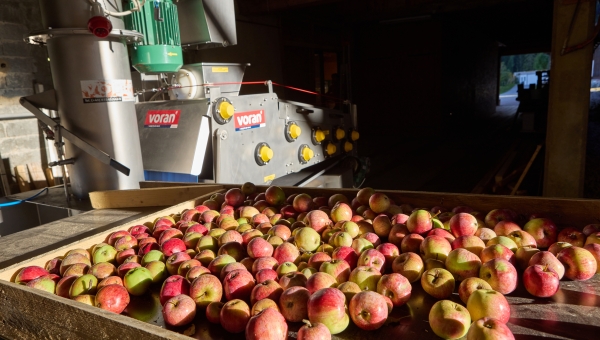 Au Pays d’Enhaut, les pommes, poires et coings se consommeront aussi en jus 